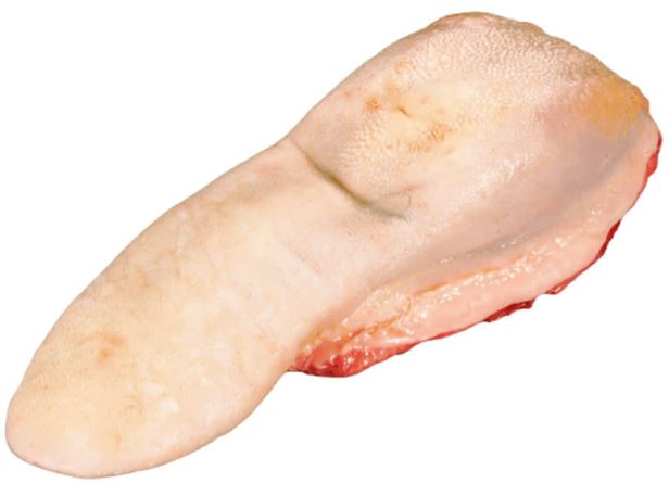 ТЕЛЕШКИ ЕЗИК